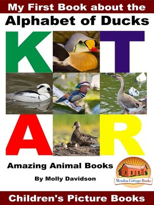 cover image of My First Book about the Alphabet of Ducks
